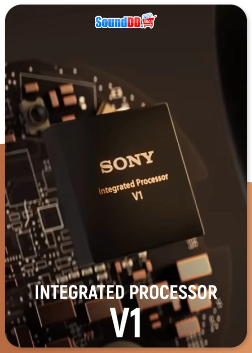 Integrated Processor V1