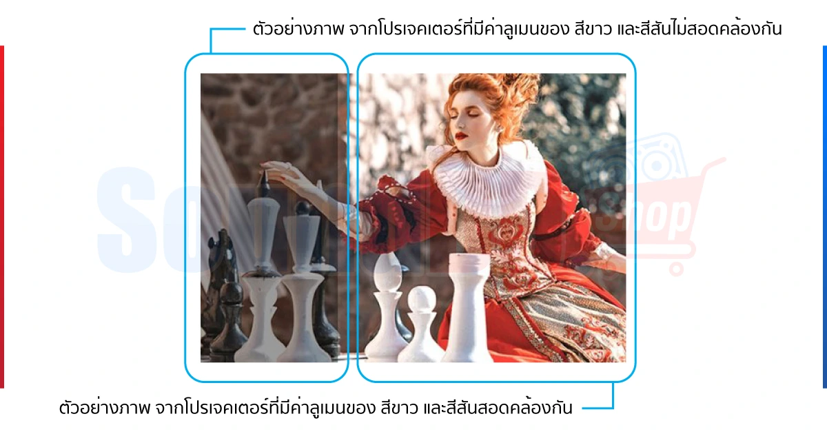 ภาพตัวอย่างจาก โปรเจคเตอร์