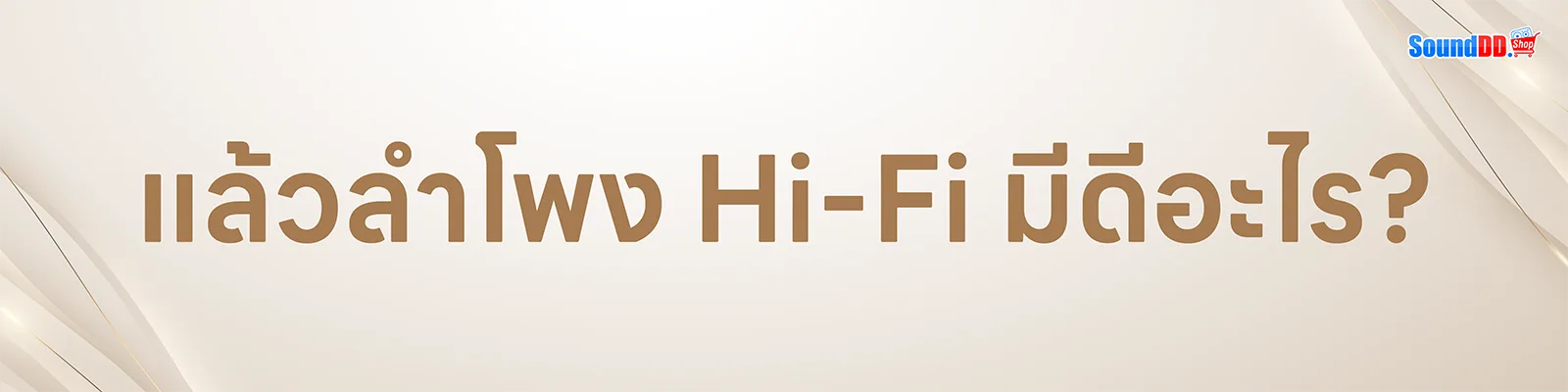 ลำโพง HiFi