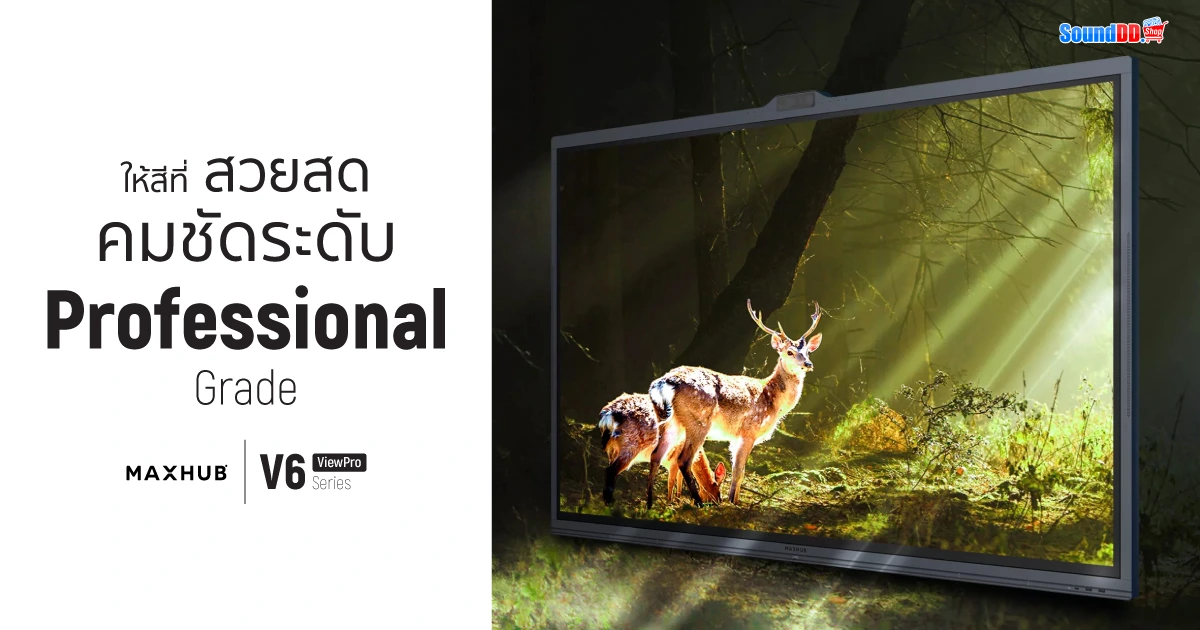 Maxhub V6 ViewPro Series สีสันสวยสด ระดับ Pro