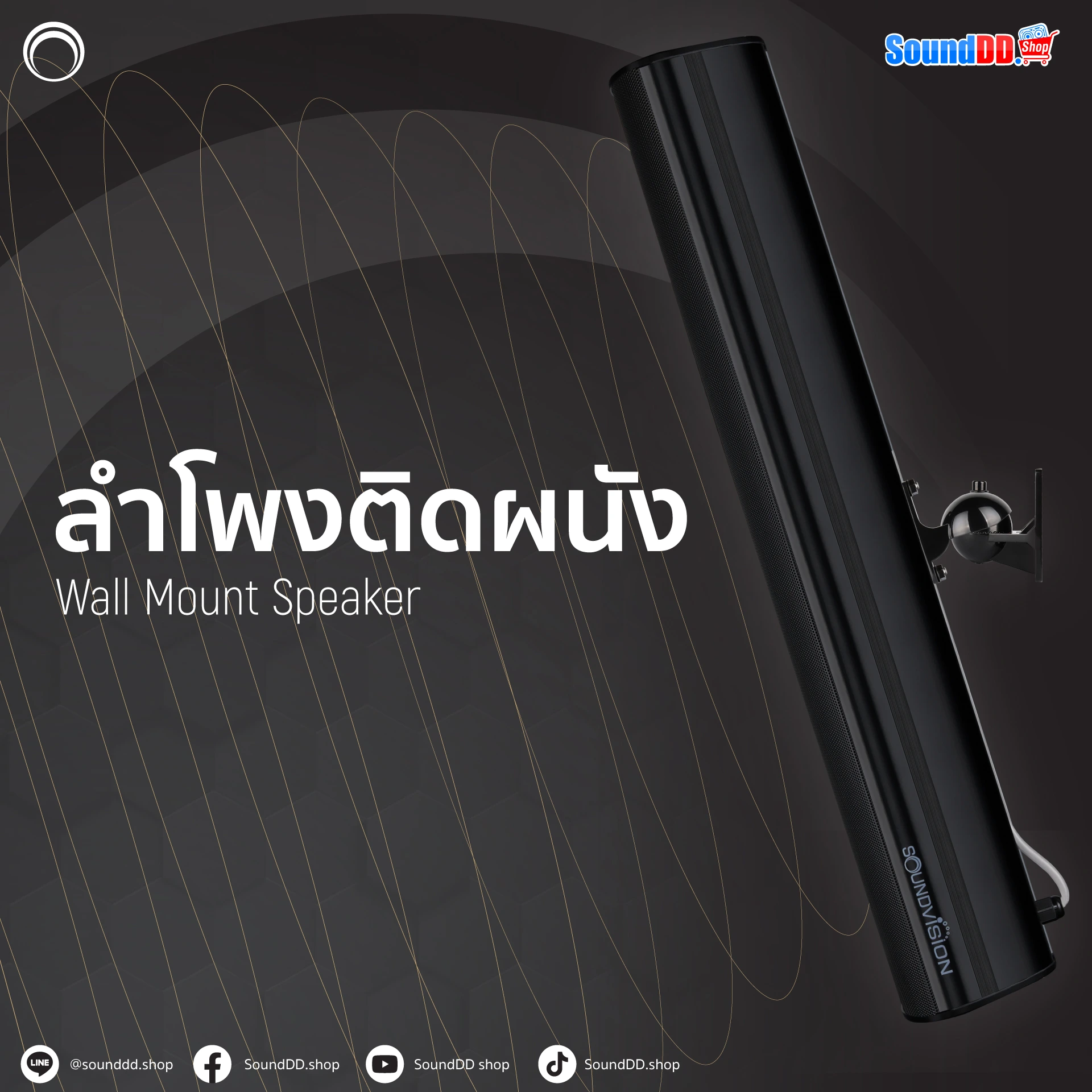 ลำโพงติดผนัง Wall Mount Speaker