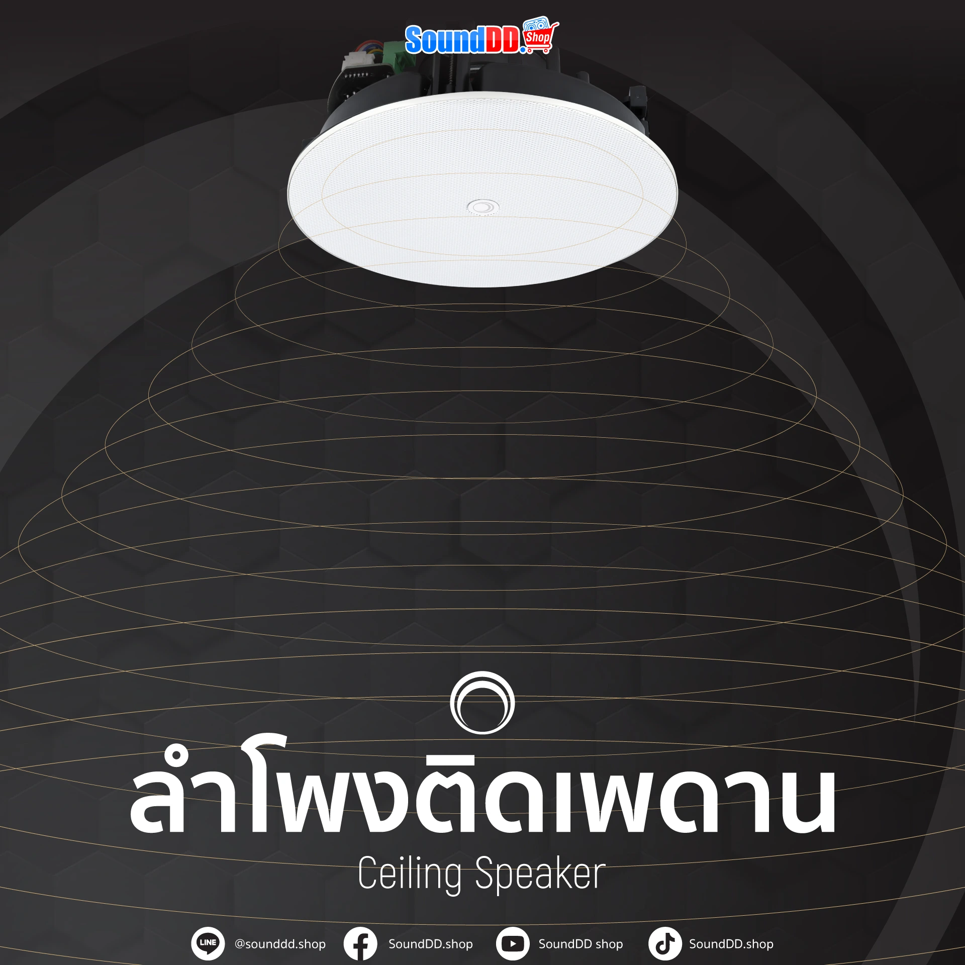 ลำโพงติดเพดาน Ceiling Speaker