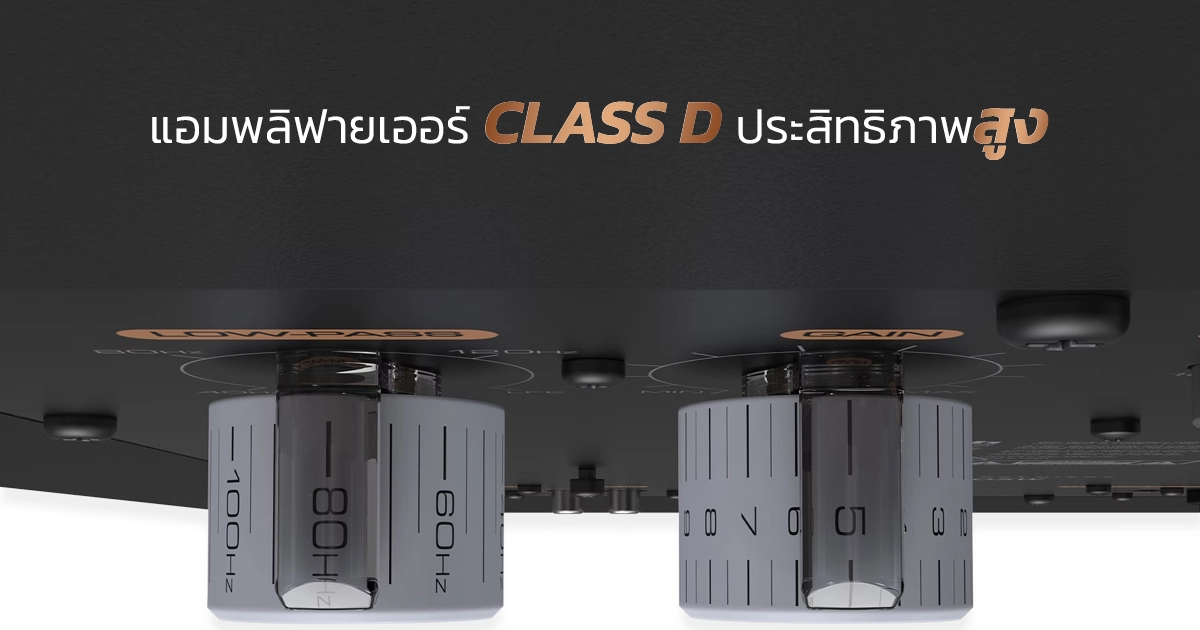 RP-1200SW มีแอมป์ในตัว