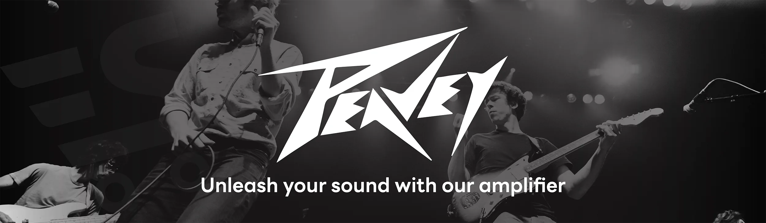 แอมป์ peavey
