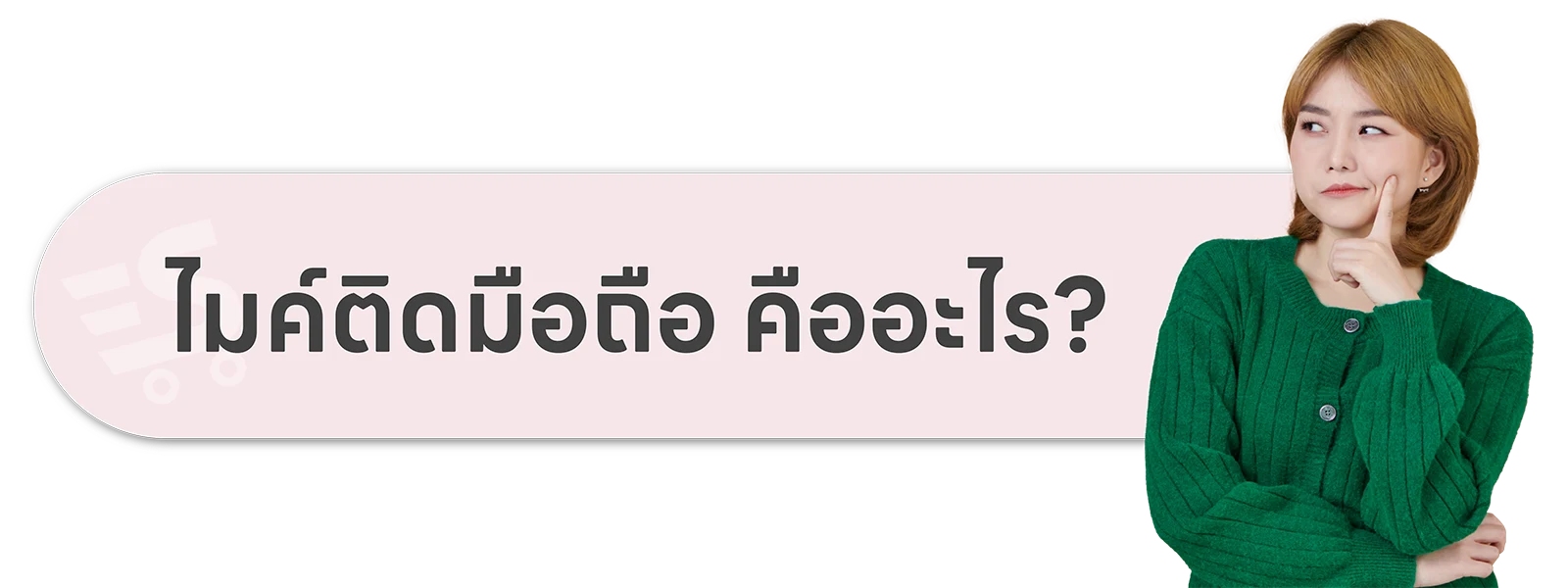 ไมค์มือถือ คือ
