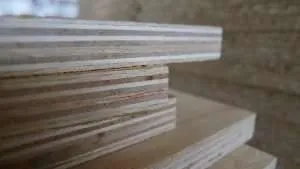 ไม้อัด baltic birch
