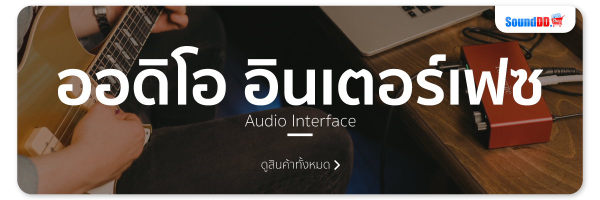 Audio Interface