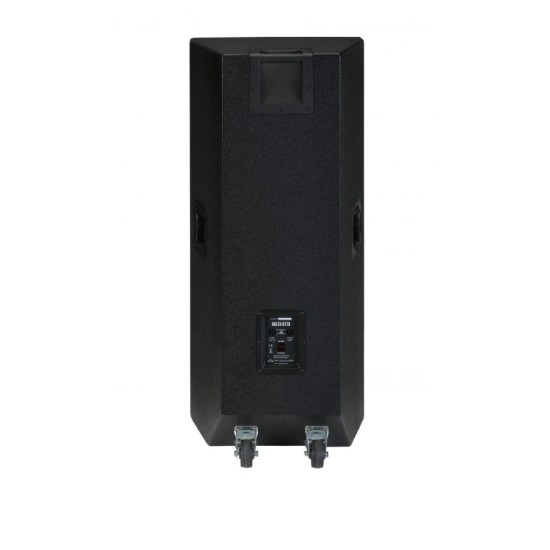 WHARFEDALE-PRO-DELTA-X215-Behind
