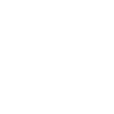 icon-Promotion