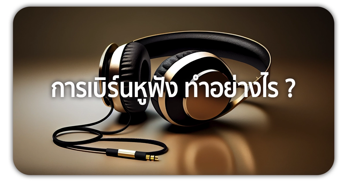 เบิร์นหูฟัง ทำอย่างไร