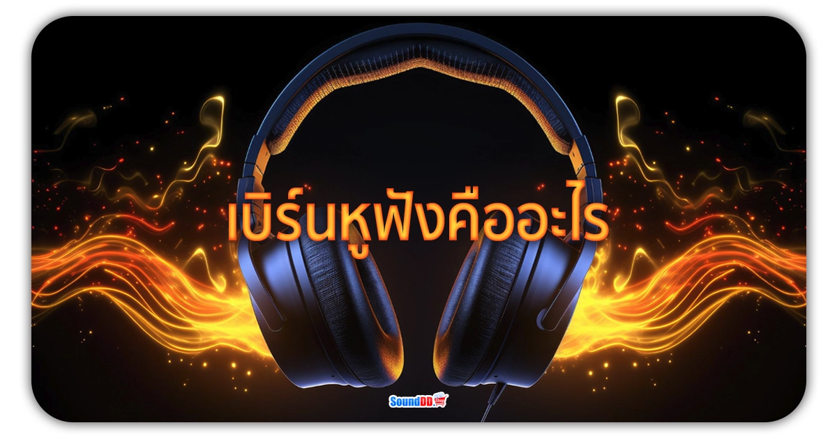 เบิร์นหูฟัง คืออะไรเบิร์นหูฟังคืออะไร