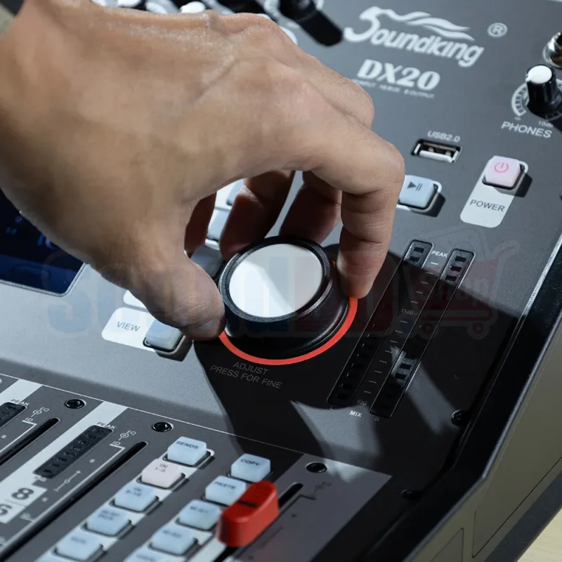 SoundKing DX20