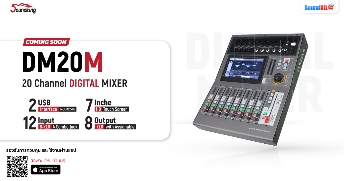 SOUNDKING DM20M