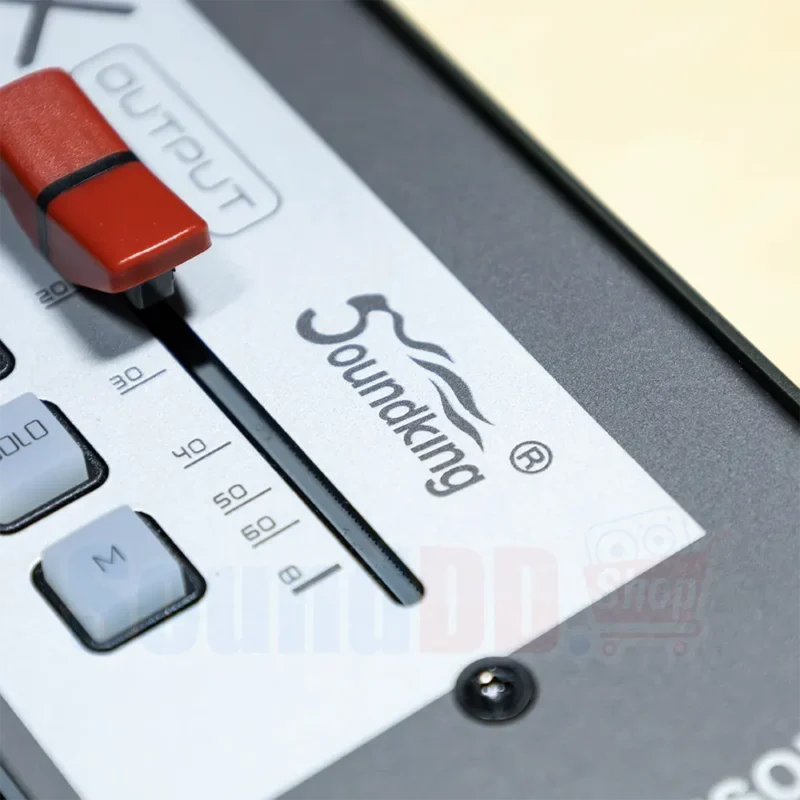 SOUNDKING DM20M