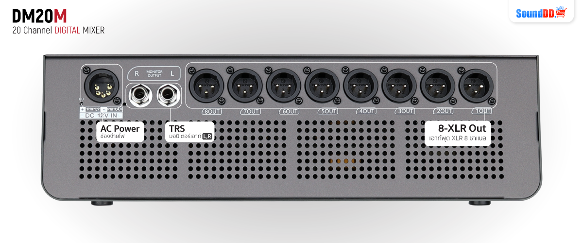 SOUNDKING DM20M Output