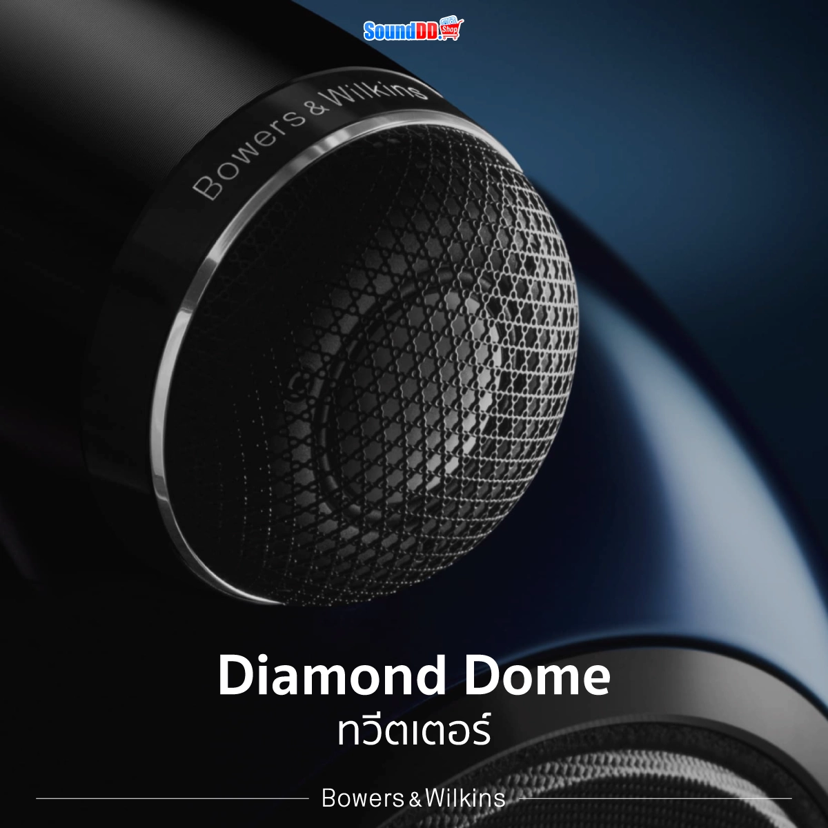 ทวีตเตอร์แบบ Diamond Dome