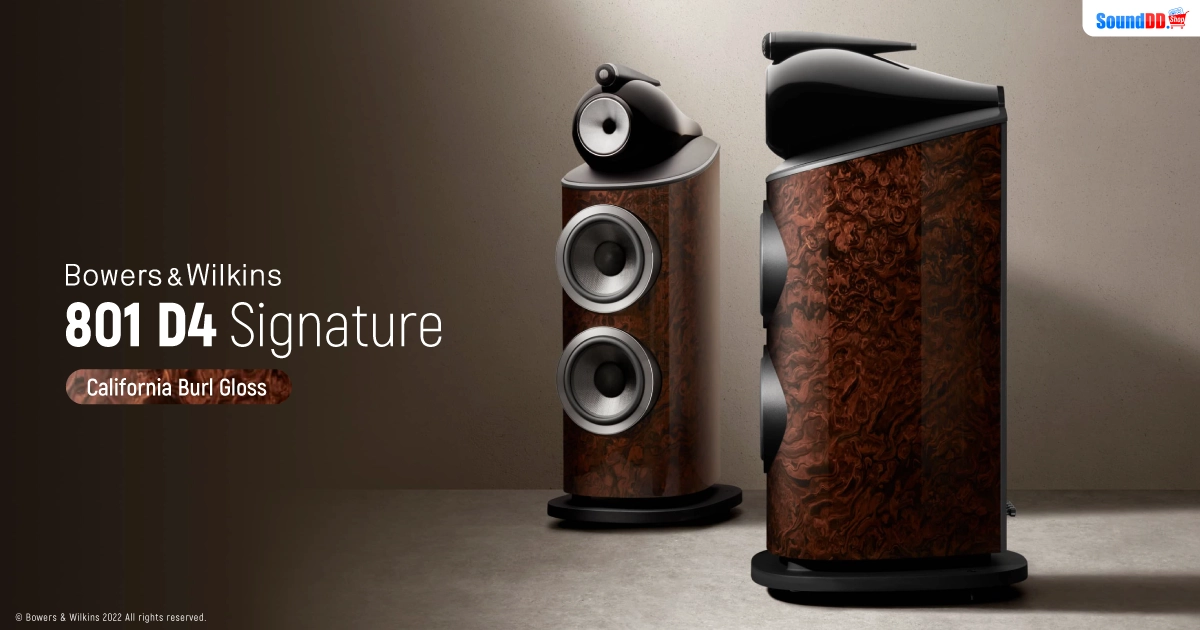 Bowers & Wilkins 801 D4 Signature California Burl Gloss