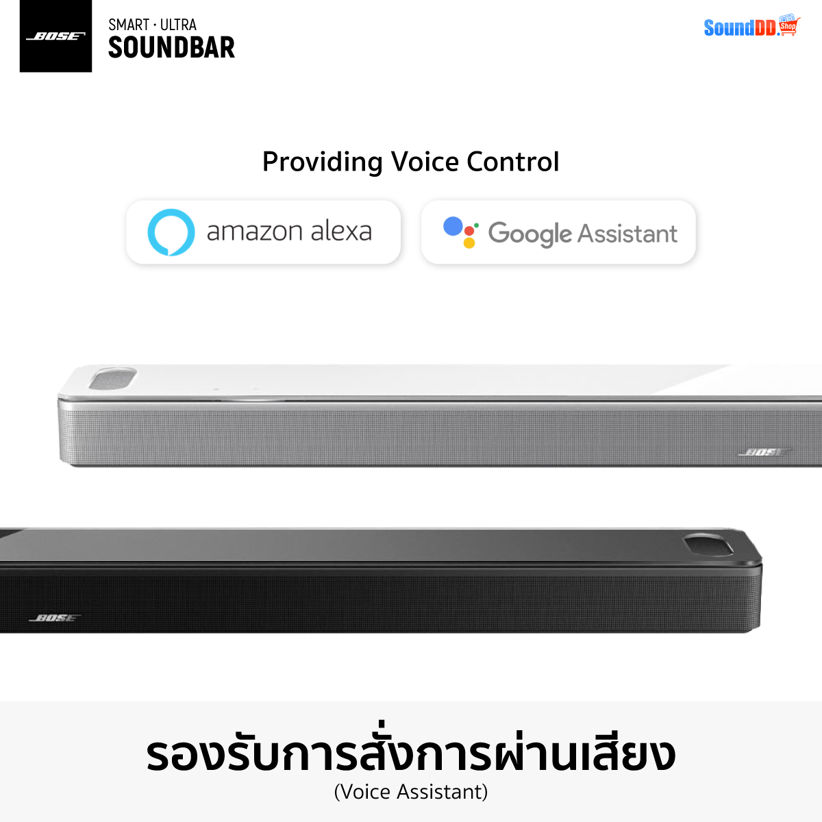 การควบคุมสั่งการผ่านเสียง(Voice Assistant)