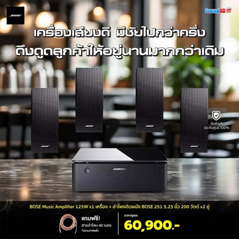 Bose Music Amplifier SET 251