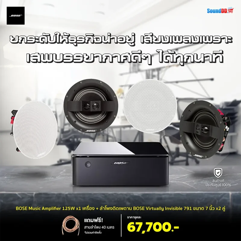 Bose Music Amplifier SET Virtually Invisible 791