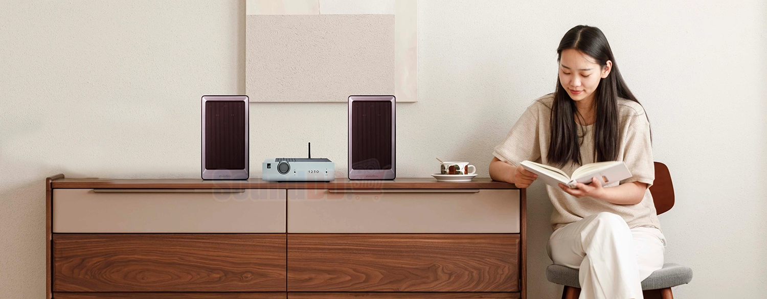 CLEF 1250A Stereo Integrated Amplifier
