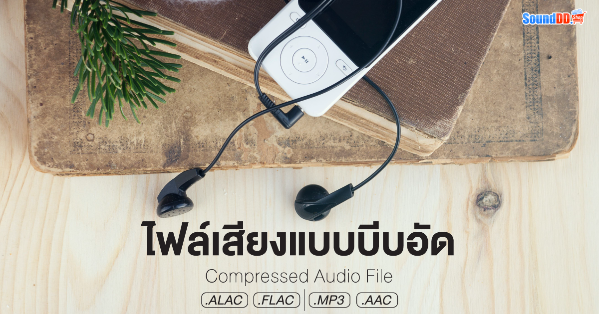 ไฟล์เสียงแบบบีบอัด หรือ Compressed