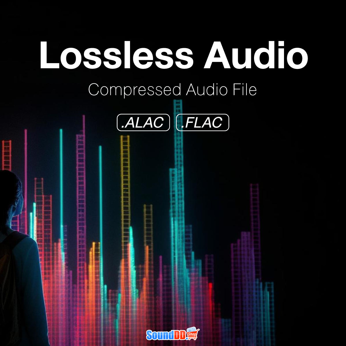 ไฟล์ Lossless Audio หรือ Lossless Compression