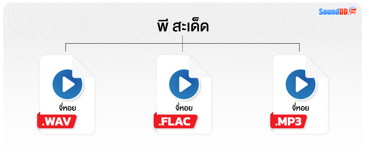 ทำไมต้องแบ่งประเภทไฟล์เสียง?