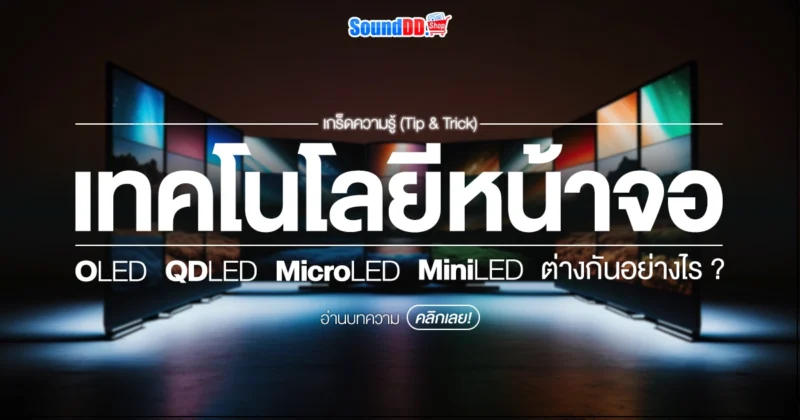 OLED VS QDLED VS Mini LED VS MicroLED ต่างกันอย่างไร?