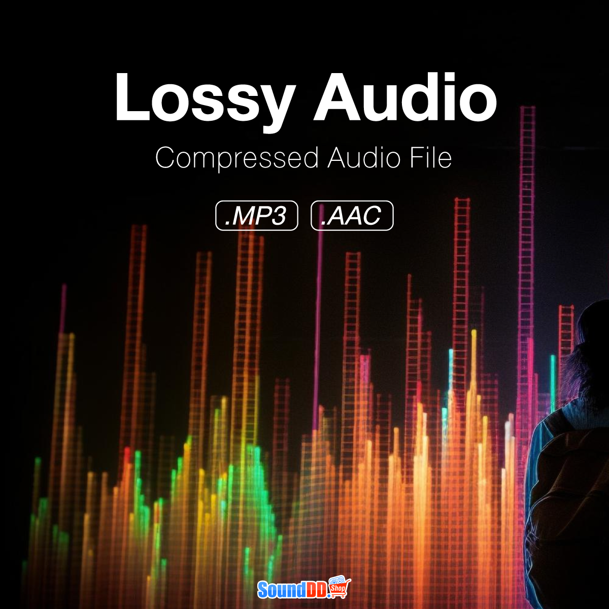 ไฟล์ Lossy Audio หรือ Lossy Compression