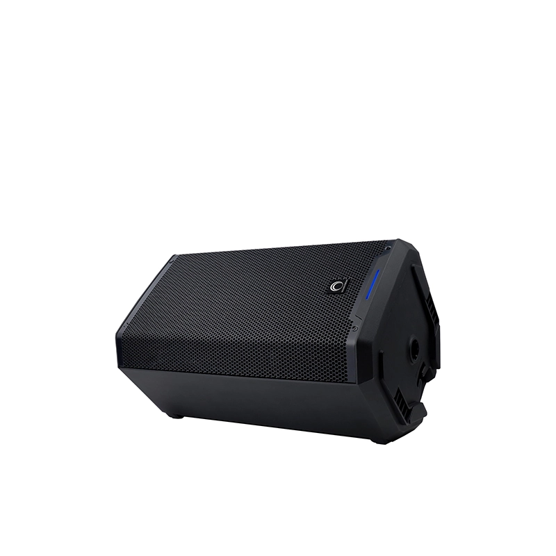 ลำโพง Active RT-12