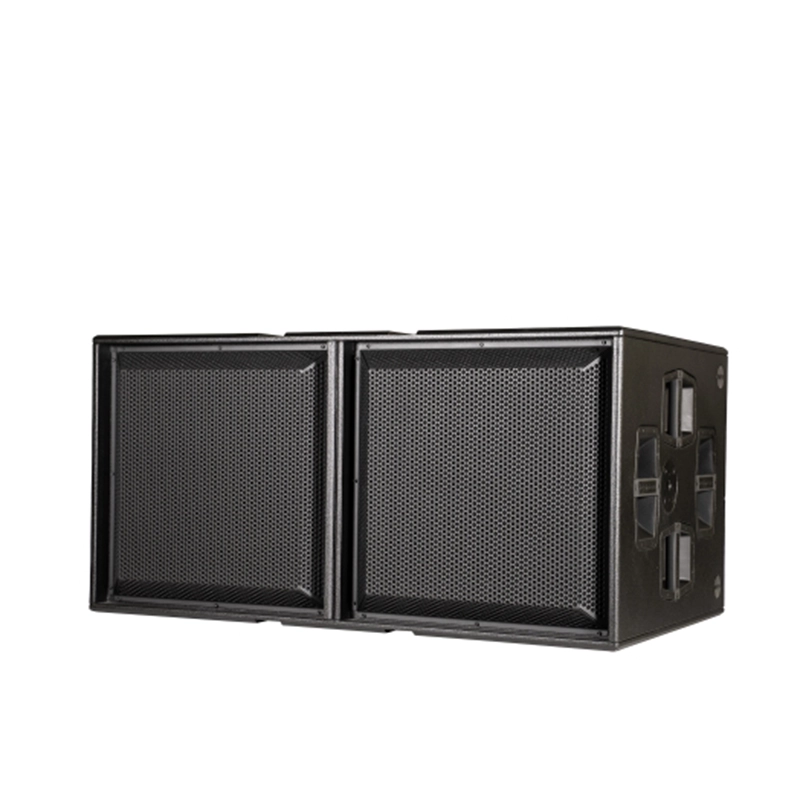 dBTechnologies INGENIA IGS2