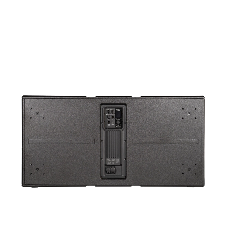 dBTechnologies INGENIA IGS2