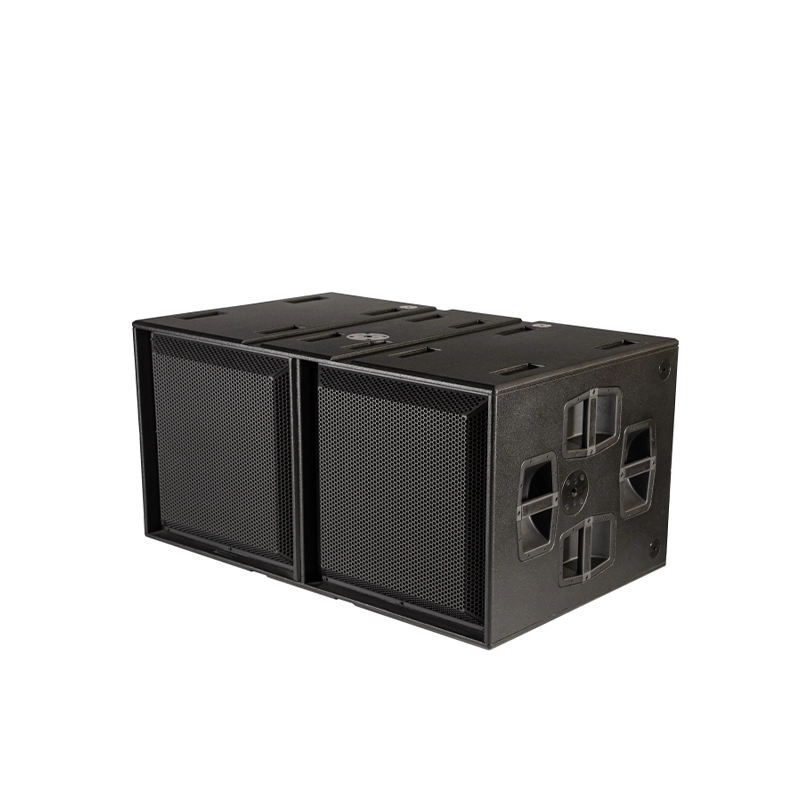 dBTechnologies INGENIA IGS2