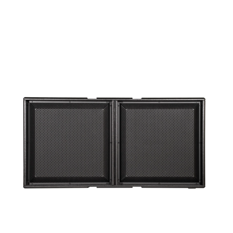 dBTechnologies INGENIA IGS2