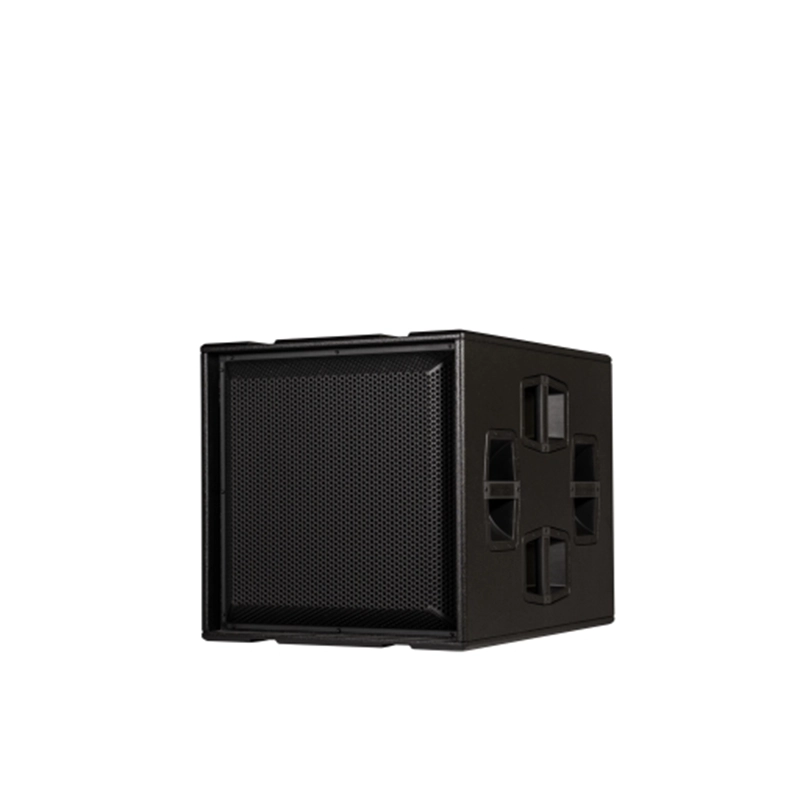 dBTechnologies INGENIA IGS1