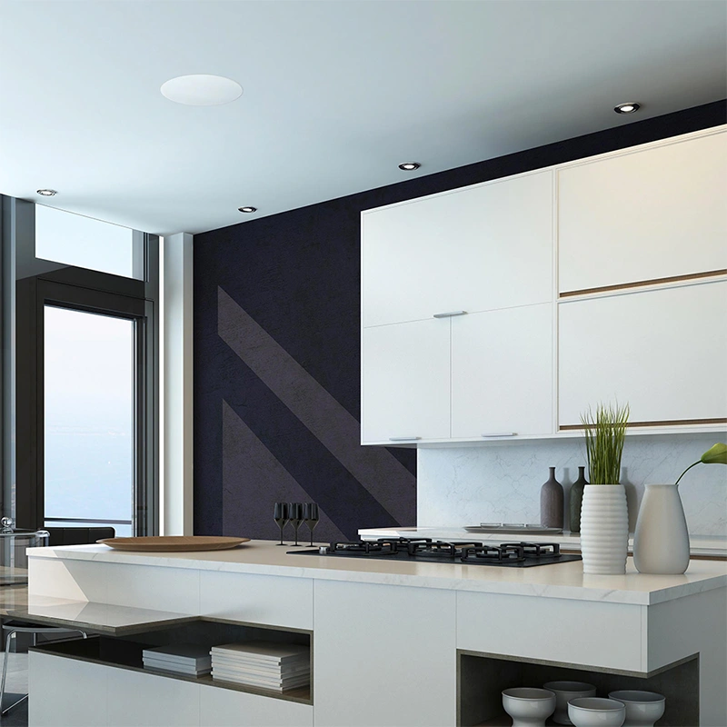 ลำโพงติดเพดาน Bluetooth Wireless 6.5'' Ceiling Speaker