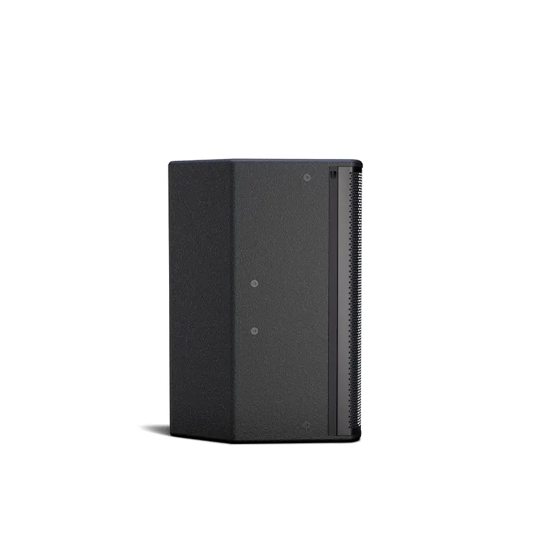 BOSE SHOWTIME SK12 ลำโพงคาราโอเกะ KTV 12 นิ้ว 2400 วัตต์