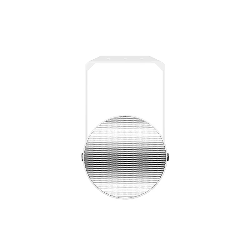 LD SYSTEMS CE P10 ลำโพง Project 5 นิ้ว 10 วัตต์