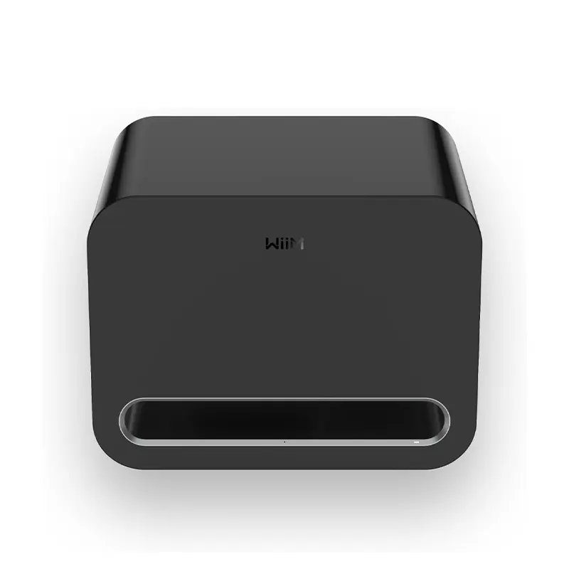 WiiM SUB PRO ซับวูฟเฟอร์ไร้สาย ขนาด 8 นิ้ว 250 วัตต์ คลาส D รองรับบลูทูธ 5.3